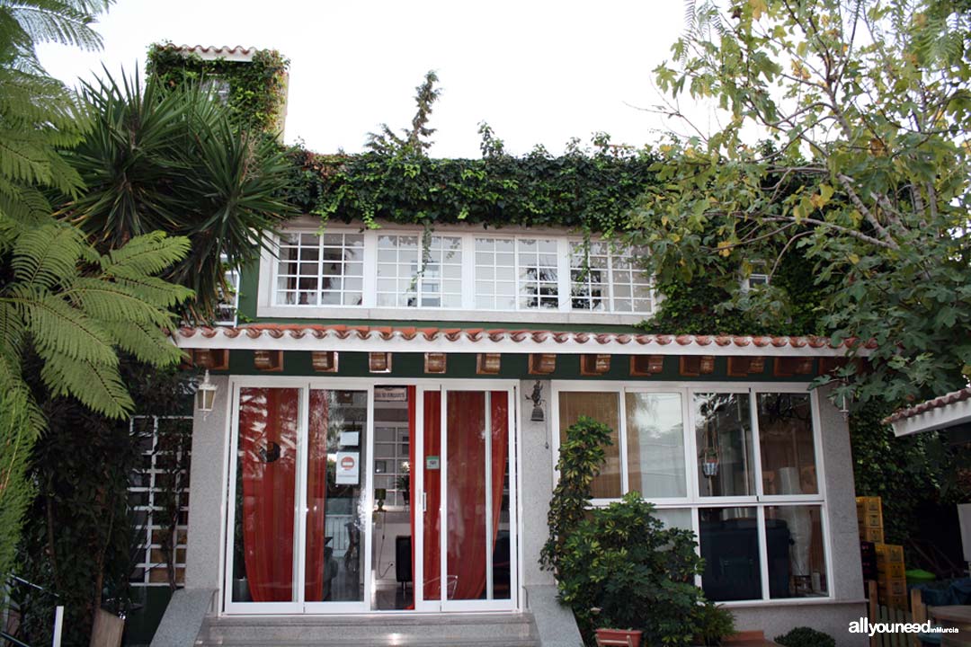 Hostel La Casa Verde en Murcia. Terraza Bar All You Need In Murcia